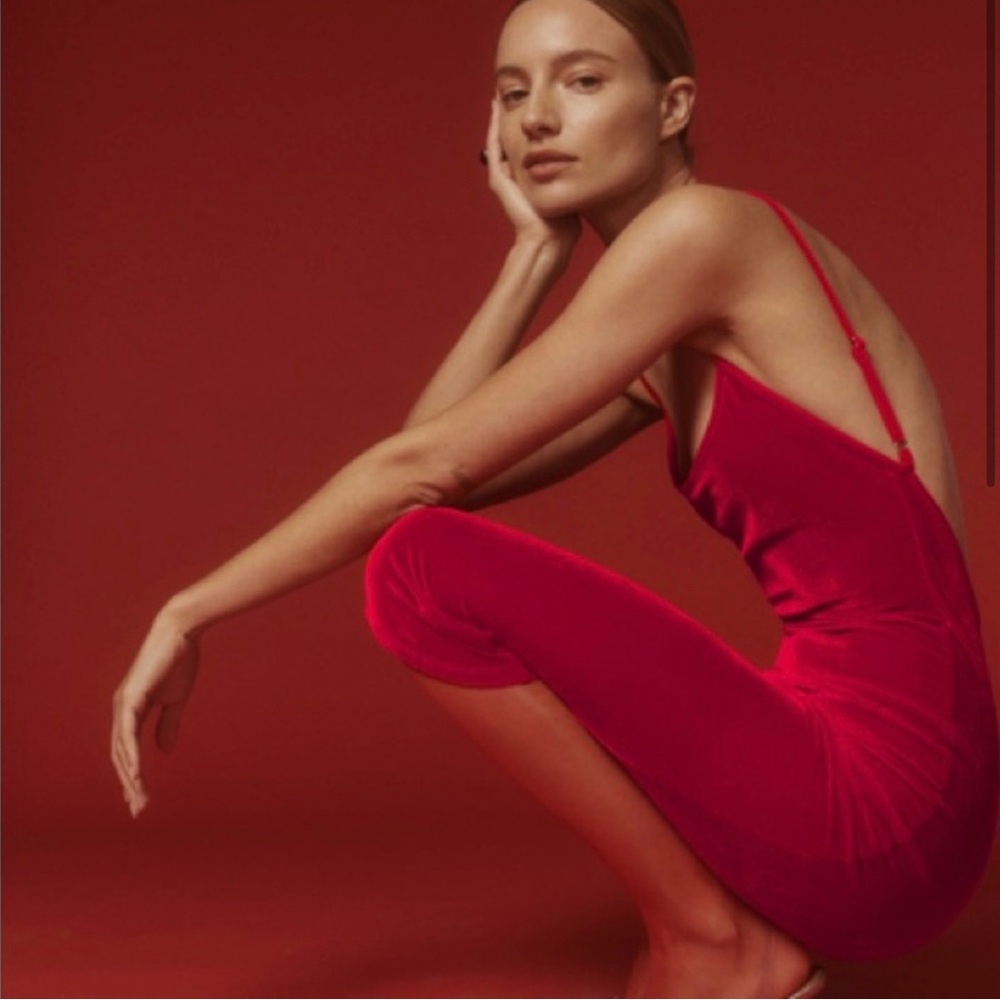 Reformation velvet red dress